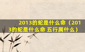 2013的蛇是什么命（2013的蛇是什么命 五行属什么）